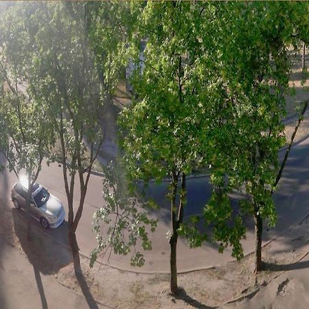 Однокомнатная Квартира На Улице Попудренко Kijev Kültér fotó